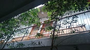 Oliver'S Hostelry Bandung Kültér fotó